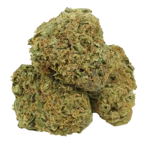 Banana Kush – Indica Dominante