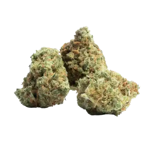 Amnesia Haze – Sativa Dominante