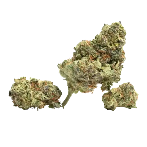 White Fire OG (WiFi OG) – Híbrida