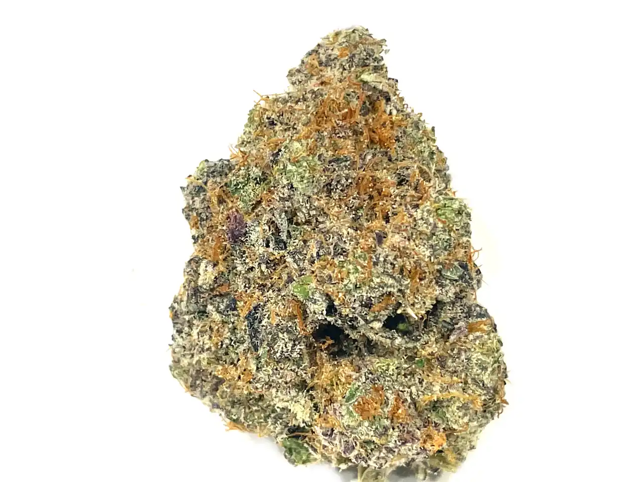 Gelato Cookies – Híbrida